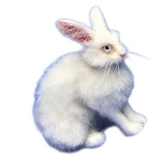 rabbit transparent